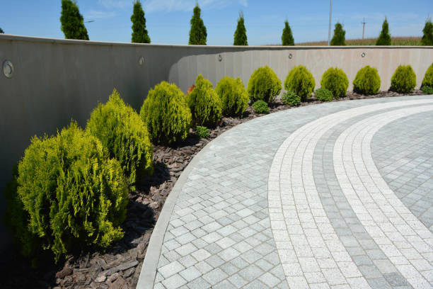 Best Custom Driveway Pavers  in Breckenridge, TX